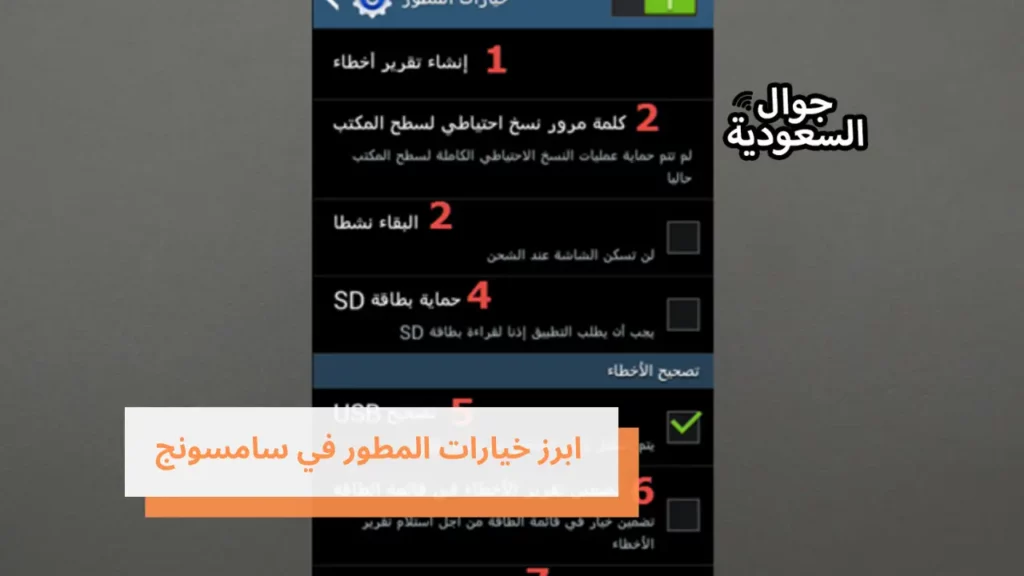 ابرز خيارات المطور في سامسونج